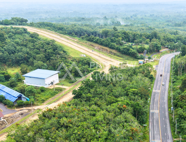 Oil palm plantation for sale, 6 rai @ Bang Baimai Intersection, price 2.XX MB / rai