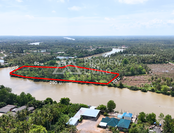 ที่ดินริมแม่น้ำ + สวนมะพร้าว เนื้อที่ 8-1-24 ไร่ บางโพธิ์ สุราษฎร์ธานี อ.เมือง สุราษฎร์ธานี