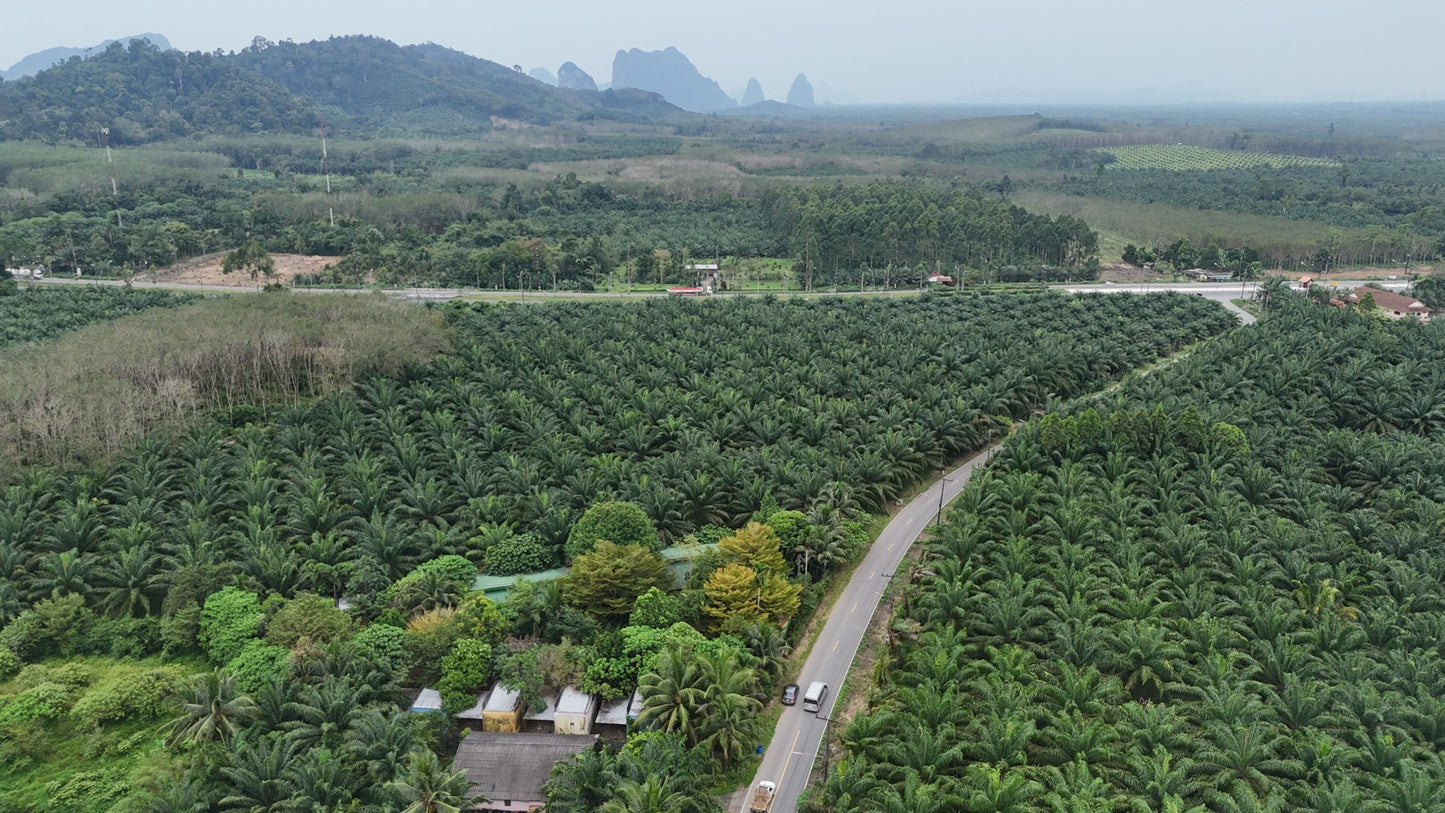 [ขายด่วน] ที่ดินพร้อมรีสอร์ท พังงา 1 ไร่ 3 งาน 90.3  ตารางวา