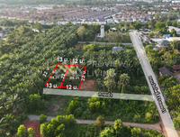 Urgent sale: divided land plots in Surat Thani, starting size 57.7 sq. wa. Location: Wat Pho 31 Soi 11. Price only 7.X hundred thousand baht per plot.