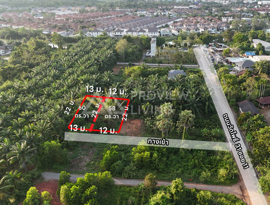 [ขายด่วน] ที่ดินแบ่งล็อก ขนาดเริ่มต้น 57.7 ตร.วา พิกัด วัดโพธิ์ 31 ซอย 11 ราคาเพียง 7.X แสนบาทต่อแปลง