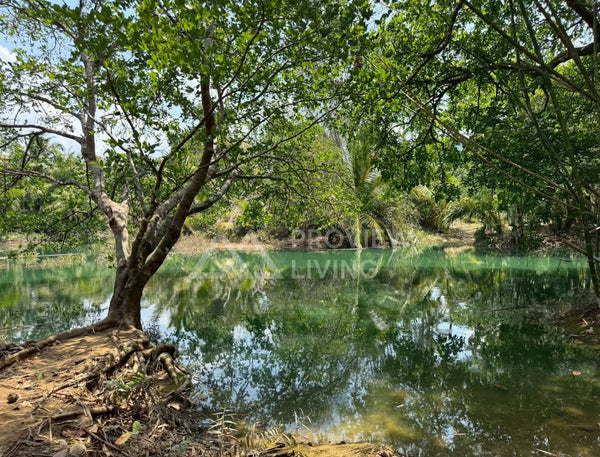 Land for sale in Surat Thani, near the new intersection, Chon Kasem 26/1, 50.1 sq. wah, good location, starting from 1 million baht.