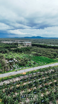 25 rai of undeveloped land, 2 plots, 12 meters frontage on the main road, Phumriang, Chaiya, Surat Thani