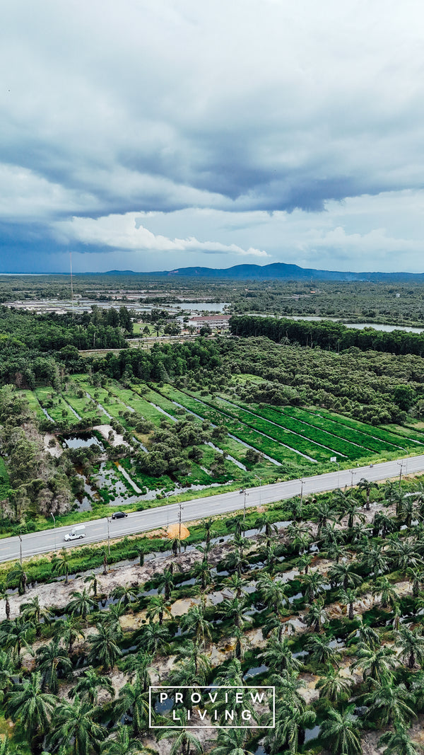 25 rai of undeveloped land, 2 plots, 12 meters frontage on the main road, Phumriang, Chaiya, Surat Thani