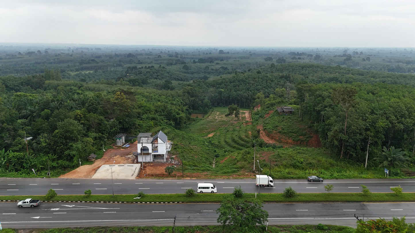 [ขายด่วน] ที่ดินกม 25 3 ไร่ 3 งาน 95.5 ตารางวา