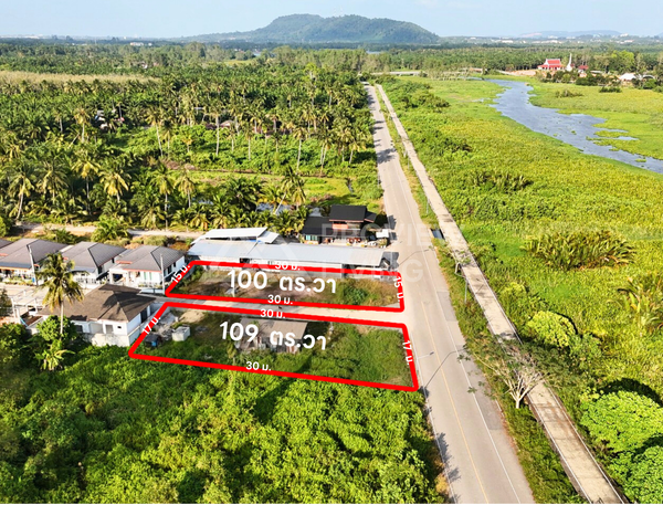 ขายด่วน ที่ดินแบ่งล็อก สุราษฎร์ธานี ขนาด 100 และ 109 ตร.วา พิกัดบึงขุนทะเล ใกล้ภูธร 8 - วัดสมหวัง ราคาแปลงละ 2.XX ล้านบาทเท่านั้น!!
