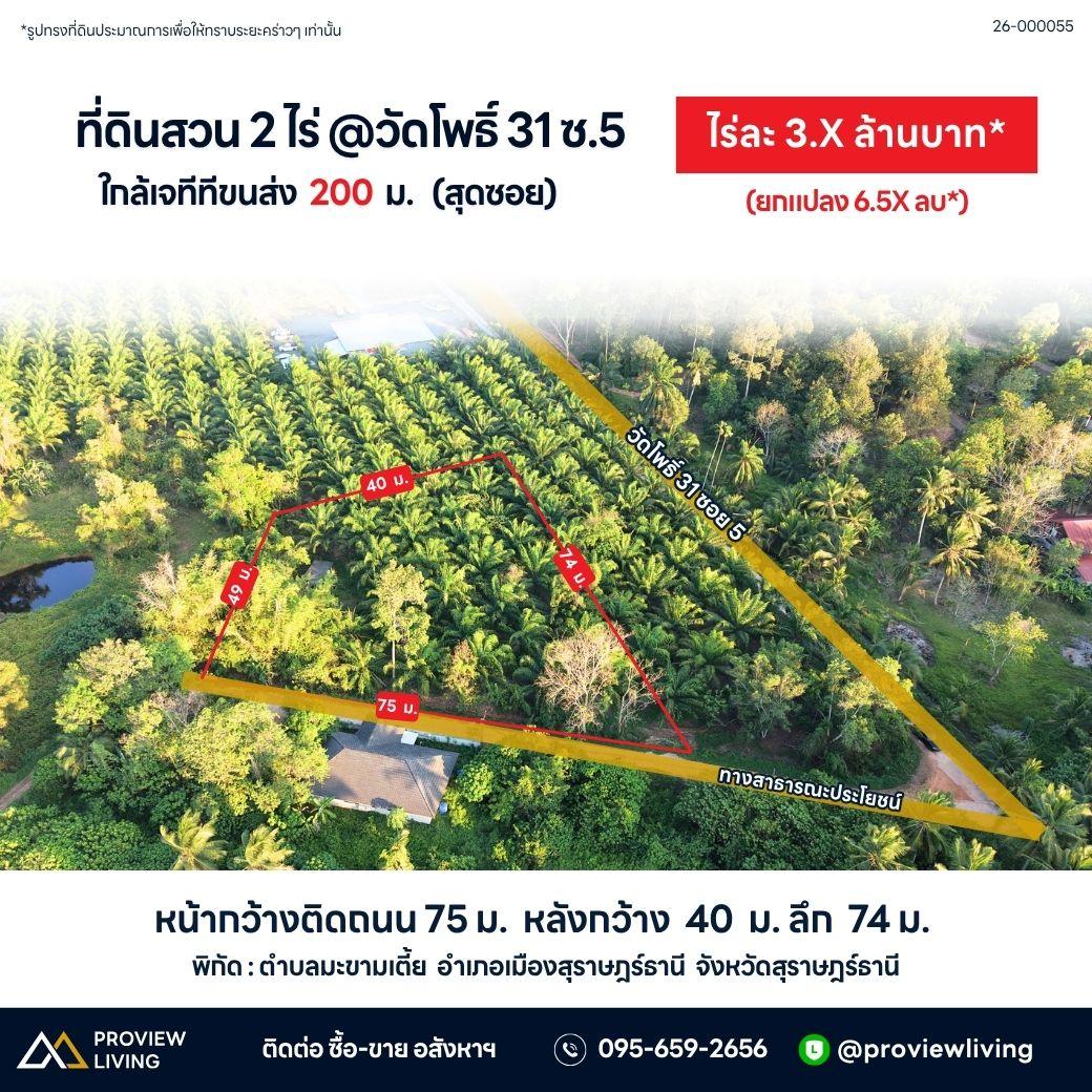 ที่ดินสวน 2 ไร่ @วัดโพธิ์ 31 ซ.5 ใกล้เจทีทีขนส่ง  200  ม.   (สุดซอย)