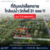 Urgent sale: divided land plots in Surat Thani, starting size 57.7 sq. wa. Location: Wat Pho 31 Soi 11. Price only 7.X hundred thousand baht per plot.
