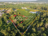 ที่ดินสวน 2 ไร่ @วัดโพธิ์ 31 ซ.5 ใกล้เจทีทีขนส่ง  200  ม.   (สุดซอย)