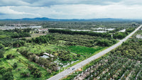 25 rai of undeveloped land, 2 plots, 12 meters frontage on the main road, Phumriang, Chaiya, Surat Thani