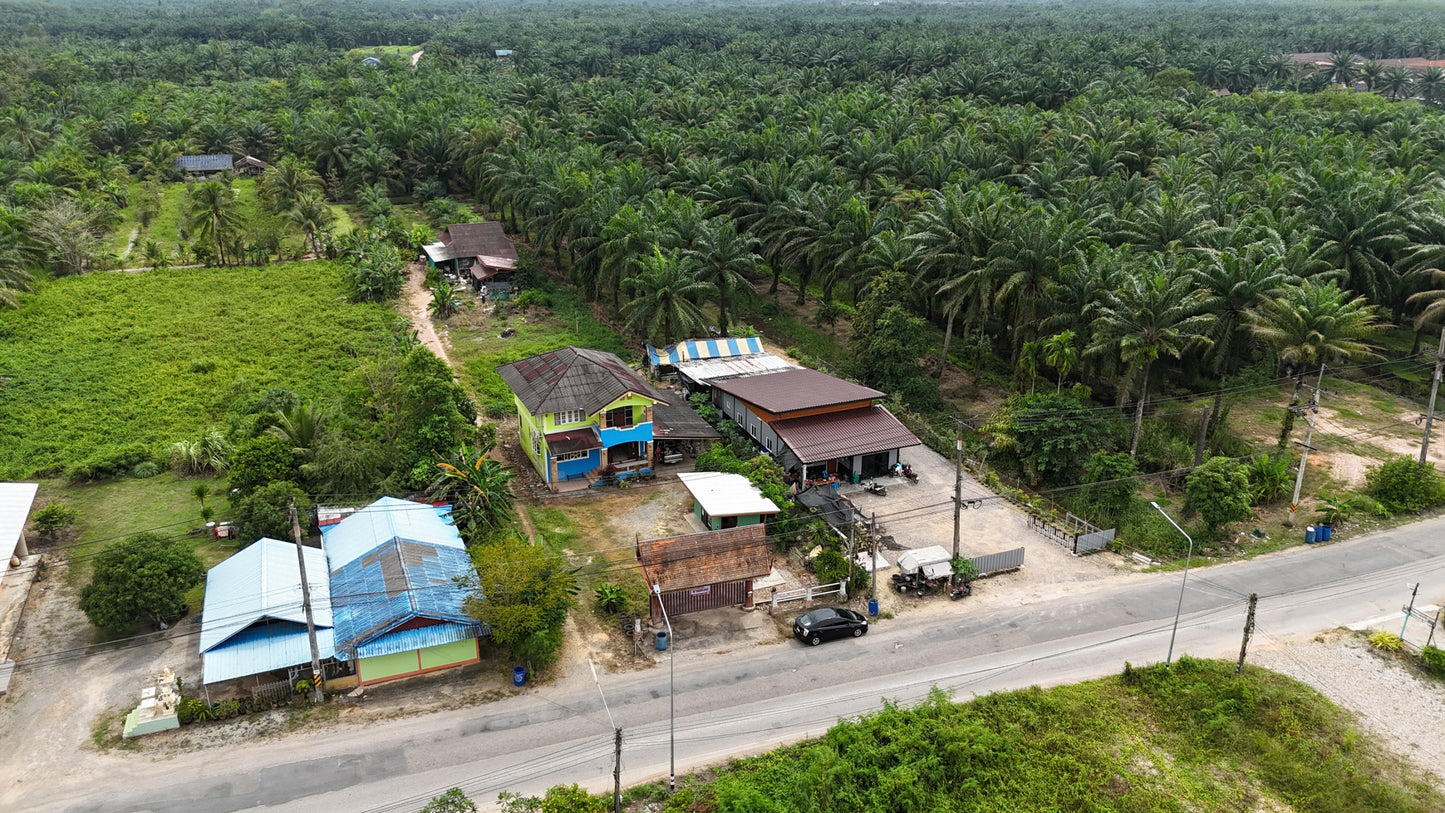 [ขายด่วน] บ้านเดี่ยว2ชั้น พร้อมที่ดิน 1 งาน 53.9 ตารางวา พร้อมออฟฟิศ