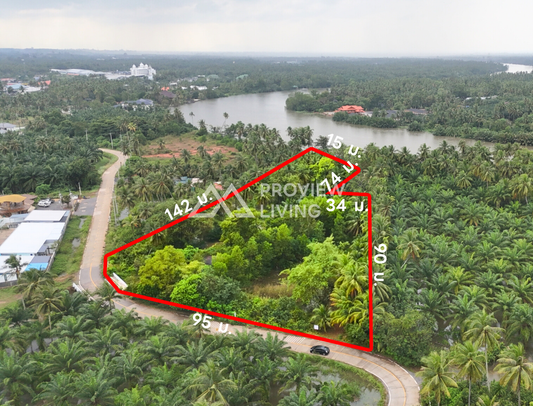 [ขายด่วน] ที่ดินเปล่า ใกล้โรงพยาบาลกรุงเทพ 800 ม. โซนบางชุมโถ 3 ไร่ 3 งาน 50.8 ตารางวา มีลำลางธรรมธาติไหลผ่านกลางแปลง เชื่อมต่อแม่น้ำตาปี