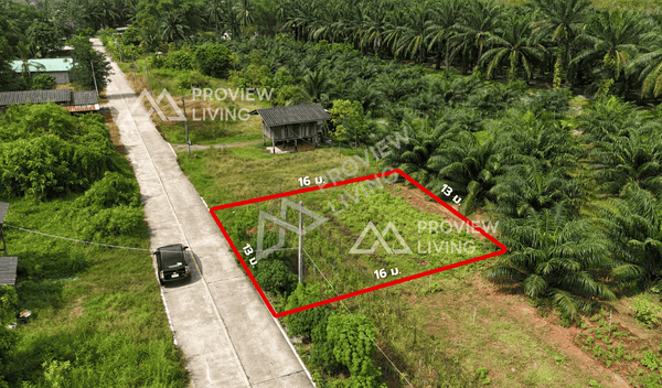 URGENT SALE: Vacant land, Surat Thani, Ban Bang Tha Kham, Phunphin, Khao Hua Khwai, 50 sq. wah. Very close to the train station (2.4 km). Very cheap price.