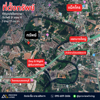 Urgent sale: divided land plots in Surat Thani, starting size 57.7 sq. wa. Location: Wat Pho 31 Soi 11. Price only 7.X hundred thousand baht per plot.