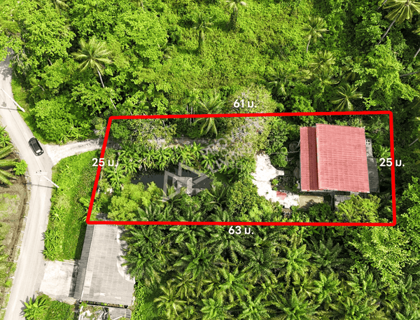 For quick sale: Garden house in Surat Thani, fully furnished, with various trees. 5 bedrooms, 2 bathrooms, with a waterfront pavilion. Large plot of land 381 sq. wah, 25 m wide, 61 m deep.