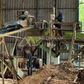 Business for sale: Sawmill in Khao Hua Kwai, Phunphin, Surat Thani. Price 4X.XX million baht.