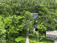 For quick sale: Garden house in Surat Thani, fully furnished, with various trees. 5 bedrooms, 2 bathrooms, with a waterfront pavilion. Large plot of land 381 sq. wah, 25 m wide, 61 m deep.