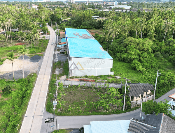 Urgent Sale: Vacant land, 1 ngan 1.5 sq. wa., prime location near Wat Pradu, close to Surat Thani Hospital and Central Surat Thani. 19-meter frontage, 24-meter depth. Suitable for residential development.