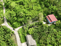 For quick sale: Garden house in Surat Thani, fully furnished, with various trees. 5 bedrooms, 2 bathrooms, with a waterfront pavilion. Large plot of land 381 sq. wah, 25 m wide, 61 m deep.