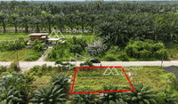 URGENT SALE: Vacant land, Surat Thani, Ban Bang Tha Kham, Phunphin, Khao Hua Khwai, 50 sq. wah. Very close to the train station (2.4 km). Very cheap price.