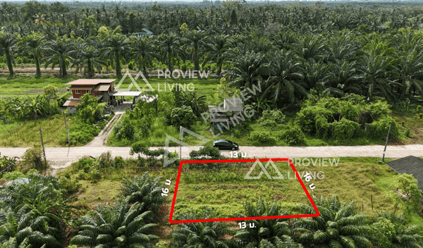 URGENT SALE: Vacant land, Surat Thani, Ban Bang Tha Kham, Phunphin, Khao Hua Khwai, 50 sq. wah. Very close to the train station (2.4 km). Very cheap price.