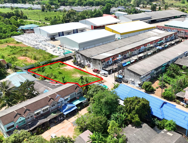 URGENT SALE! Vacant land ready for use in the heart of Phunphin. Size 2 Ngan 29.1 sq. wah. (829.1 sq.m.) 39-meter frontage. Landfilled and ready for development. Near Phunphin Villa and Surat Seafoods Co., Ltd.