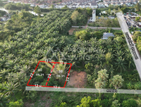 Urgent sale: divided land plots in Surat Thani, starting size 57.7 sq. wa. Location: Wat Pho 31 Soi 11. Price only 7.X hundred thousand baht per plot.
