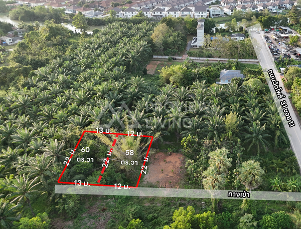 Urgent sale: divided land plots in Surat Thani, starting size 57.7 sq. wa. Location: Wat Pho 31 Soi 11. Price only 7.X hundred thousand baht per plot.
