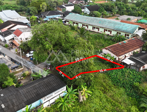 ขายด่วน ที่ดินเปล่า สุราษฎร์ธานี 62.2 ตร.วา พิกัด ดอนนก 21 ซอย 9 หลังโรงเรียนมานิตานุเคราะห์ ราคาเพียง 7.5 แสนบาท