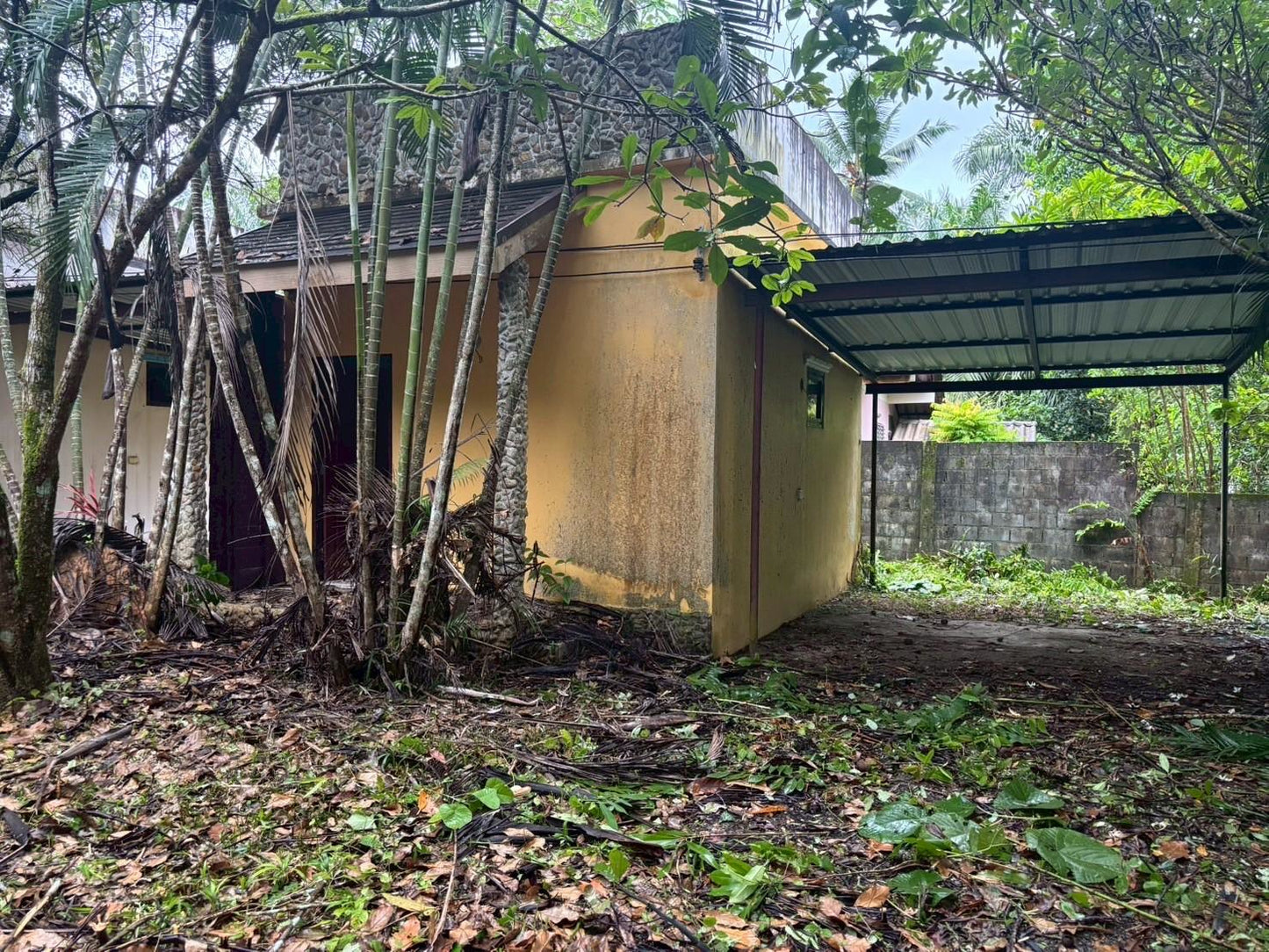 [ขายด่วน] ที่ดินพร้อมรีสอร์ท พังงา 1 ไร่ 3 งาน 90.3  ตารางวา