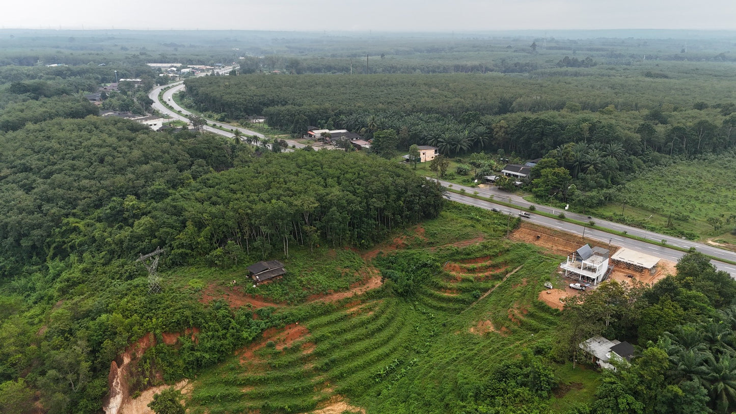 [ขายด่วน] ที่ดินกม 25 3 ไร่ 3 งาน 95.5 ตารางวา