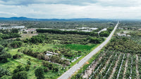 25 rai of undeveloped land, 2 plots, 12 meters frontage on the main road, Phumriang, Chaiya, Surat Thani
