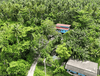 For quick sale: Garden house in Surat Thani, fully furnished, with various trees. 5 bedrooms, 2 bathrooms, with a waterfront pavilion. Large plot of land 381 sq. wah, 25 m wide, 61 m deep.