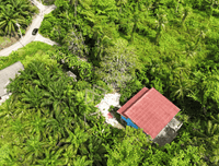 For quick sale: Garden house in Surat Thani, fully furnished, with various trees. 5 bedrooms, 2 bathrooms, with a waterfront pavilion. Large plot of land 381 sq. wah, 25 m wide, 61 m deep.