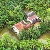Garden House for Sale, Surat Thani, 3 rai 43.6 sq. wa, with palm plantation, pond, Thung Kong subdistrict, 4 bedrooms, 2 bathrooms
