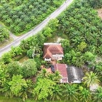 Garden House for Sale, Surat Thani, 3 rai 43.6 sq. wa, with palm plantation, pond, Thung Kong subdistrict, 4 bedrooms, 2 bathrooms