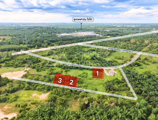 Oil palm plantation for sale, 6 rai @ Bang Baimai Intersection, price 2.XX MB / rai