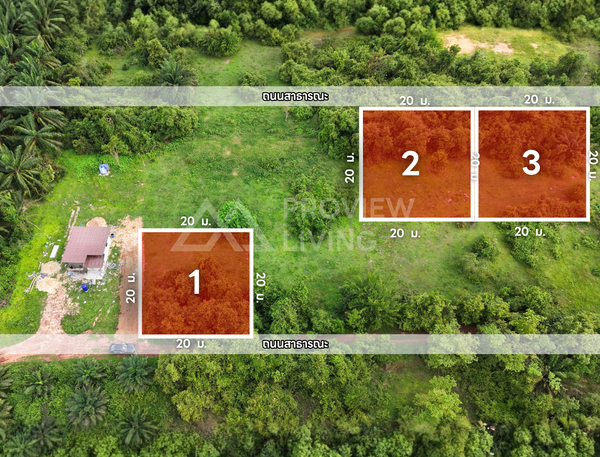 Oil palm plantation for sale, 6 rai @ Bang Baimai Intersection, price 2.XX MB / rai