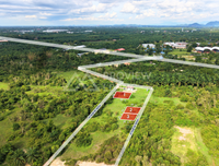 Oil palm plantation for sale, 6 rai @ Bang Baimai Intersection, price 2.XX MB / rai