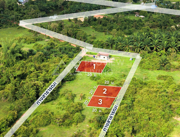 Oil palm plantation for sale, 6 rai @ Bang Baimai Intersection, price 2.XX MB / rai