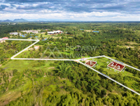 Oil palm plantation for sale, 6 rai @ Bang Baimai Intersection, price 2.XX MB / rai