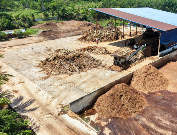 Business for sale: Sawmill in Khao Hua Kwai, Phunphin, Surat Thani. Price 4X.XX million baht.