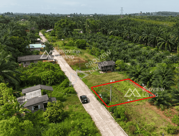 URGENT SALE: Vacant land, Surat Thani, Ban Bang Tha Kham, Phunphin, Khao Hua Khwai, 50 sq. wah. Very close to the train station (2.4 km). Very cheap price.