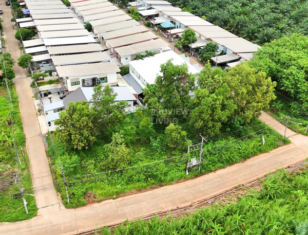 [For Sale] BS-08 Land plots for sale, 3 plots available, starting from 2.43 million baht. Suitable for housing development, Srivichai 16, BS-08, Surat Thani.