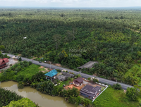 [SALE] BS-07 Land in Bang Bai Mai, near Wat Boon Banterng, a oasis plot, suitable for commercial/residential/project development, size 18 rai (approx.), Surat Thani