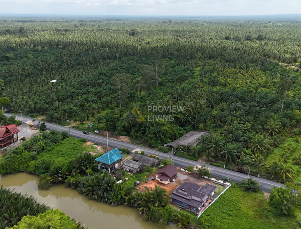 [SALE] BS-07 Land in Bang Bai Mai, near Wat Boon Banterng, a oasis plot, suitable for commercial/residential/project development, size 18 rai (approx.), Surat Thani