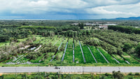 25 rai of undeveloped land, 2 plots, 12 meters frontage on the main road, Phumriang, Chaiya, Surat Thani
