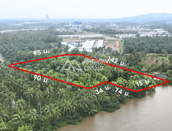 Urgent sale, vacant land in Surat Thani, 800 m from Bangkok Hospital. Bang Chum Tho area, 3 rai 3 ngan 50.8 sq. wah. A natural stream flows through the middle of the plot, connecting to the Tapi River.
