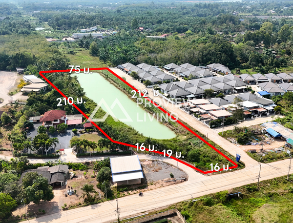 Urgent sale: Vacant land in Surat Thani, near Thai Watsadu, near Toyota Tha Thong. Size 6 rai, 0 ngan, 87.9 square wah.