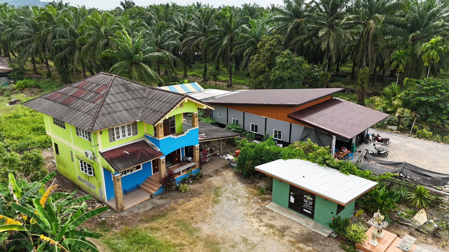 [ขายด่วน] บ้านเดี่ยว2ชั้น พร้อมที่ดิน 1 งาน 53.9 ตารางวา พร้อมออฟฟิศ